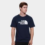 Camiseta the nort face evolution half dome summit