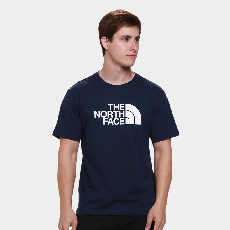 Camiseta the nort face evolution half dome summit