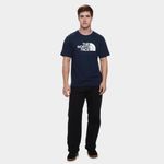 Camiseta the nort face evolution half dome summit