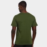 Camiseta the nort face evolution summit