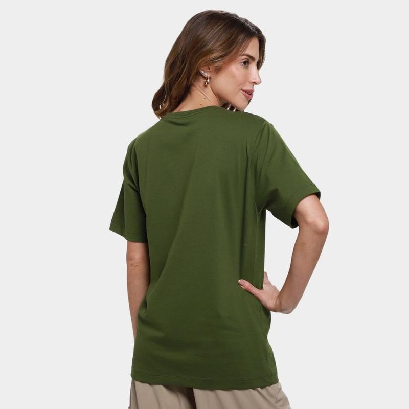 Camiseta the nort face evolution summit