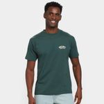 Camiseta vans double standard masculina