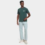 Camiseta vans double standard masculina