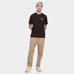 Camiseta lacoste casual masculina