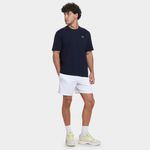 Camiseta lacoste masculina