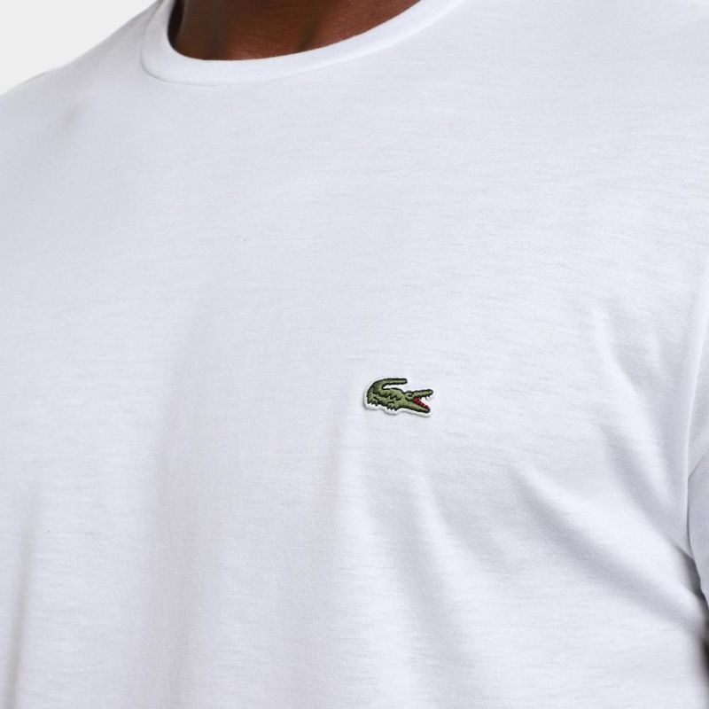 Camiseta lacoste logo masculina