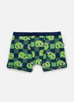 Cueca boxer algodão menino teen dragão camping