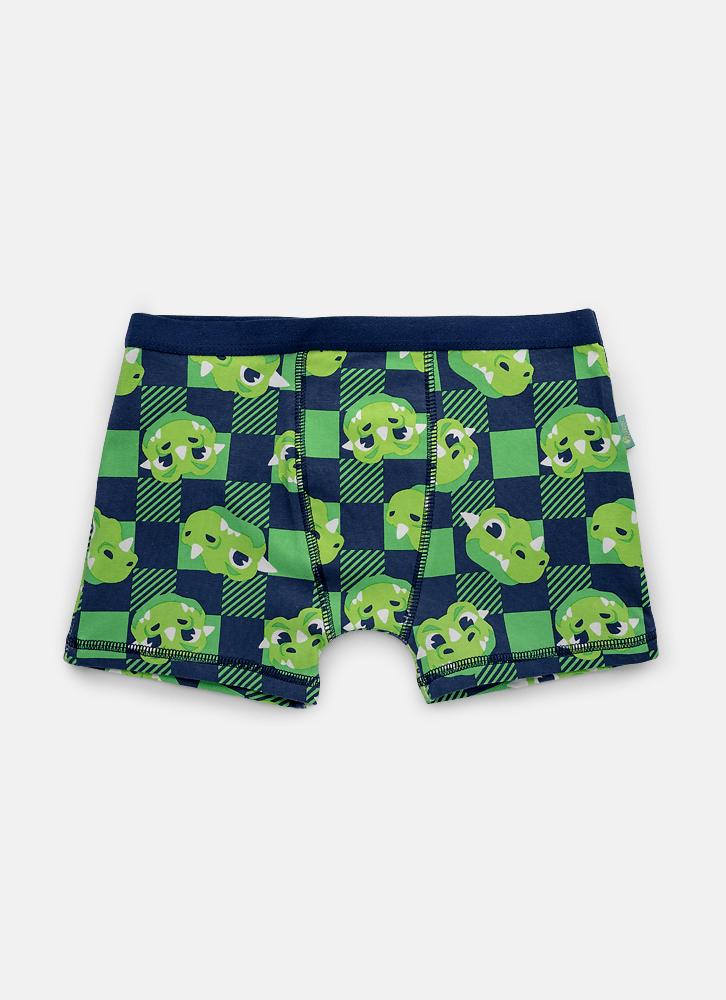 Cueca boxer algodão menino teen dragão camping