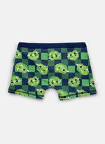 Cueca boxer algodão menino teen dragão camping