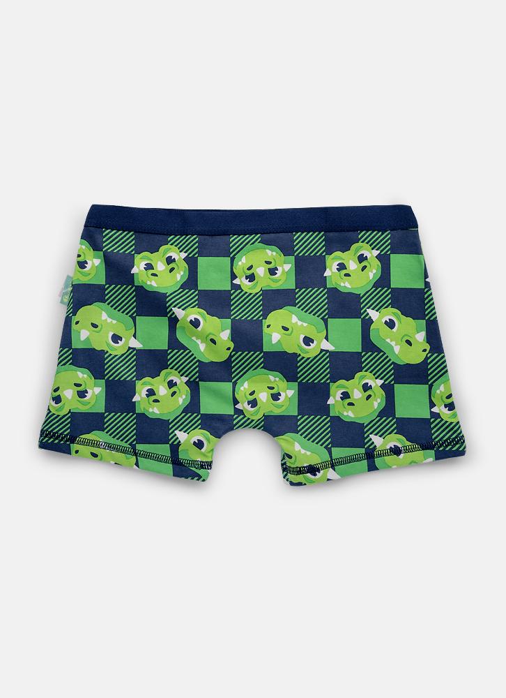 Cueca boxer algodão menino teen dragão camping