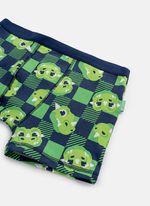 Cueca boxer algodão menino teen dragão camping