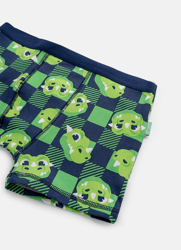 Cueca boxer algodão menino teen dragão camping