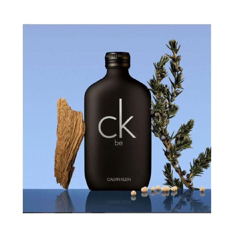 Perfume Calvin Klein Be | Unissex 200 Ml
