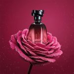 Floratta Rose Sucrée Eau De Parfum 75ml | O Boticário