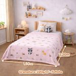 Manta cobertor lutti solteiro infantil  220g/m² 2,20x1,50m fofinha não desbota foxy raposinha rosa