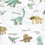 Manta cobertor lutti solteiro infantil  220g/m² 2,20x1,50m fofinha não desbota dinossauro verde