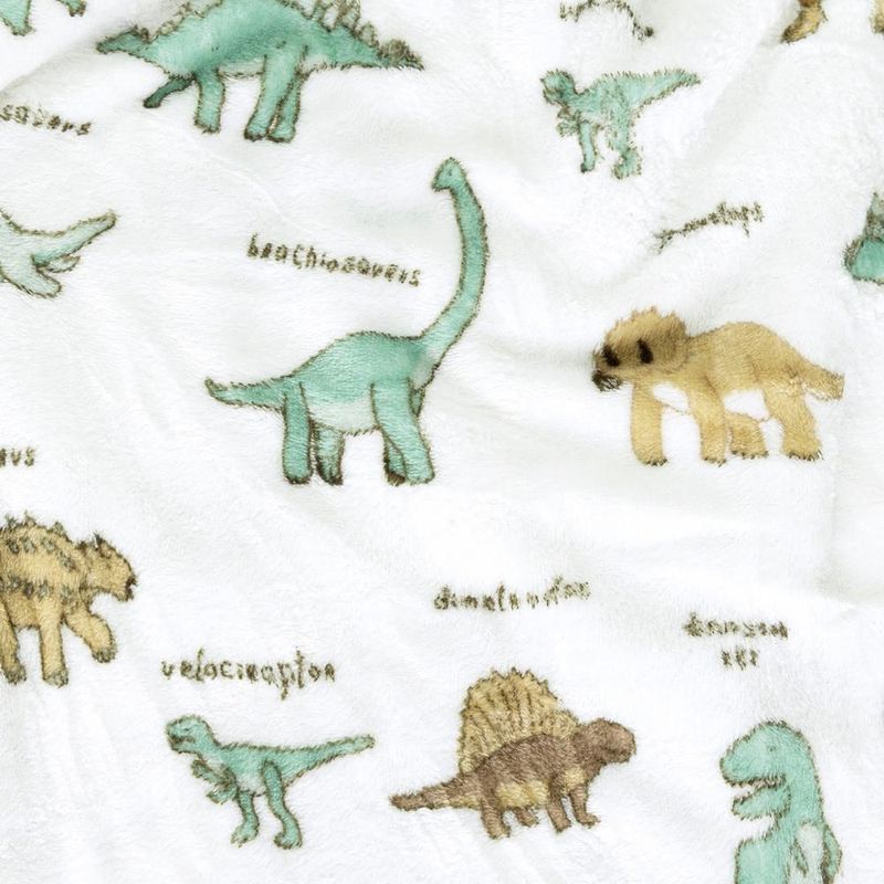 Manta cobertor lutti solteiro infantil  220g/m² 2,20x1,50m fofinha não desbota dinossauro verde