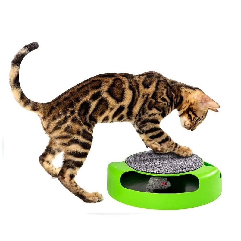 Brinquedo Interativo para Gatos com Arranhador Kangur Pegue o Rato Verde Único 1 Brinquedo com 1