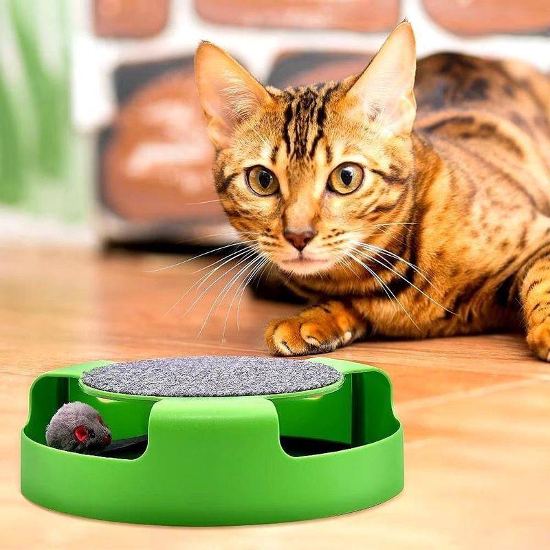Brinquedo Interativo para Gatos com Arranhador Kangur Pegue o Rato Verde Único 1 Brinquedo com 1