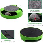 Brinquedo Interativo para Gatos com Arranhador Kangur Pegue o Rato Verde Único 1 Brinquedo com 1