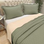 Kit Cobre Leito Bold Bicolour Casal Micropercal 300 Fios 3 Peças Dupla Face Verde Casa Scarpa