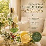 Aromatizador de Ambiente Verbena e Limão Siciliano Transparente Dani Fernandes 250ML