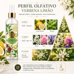 Aromatizador de Ambiente Verbena e Limão Siciliano Transparente Dani Fernandes 250ML