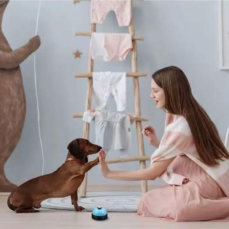 Campainha de Treinamento para Pets Sino Adestramento de Cães e Gatos Único