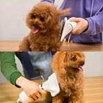 Secador Elétrico com Escova para Pets Utimix 2 em 1 Removedor de Pelos para Cães e Gatos 300W 110V