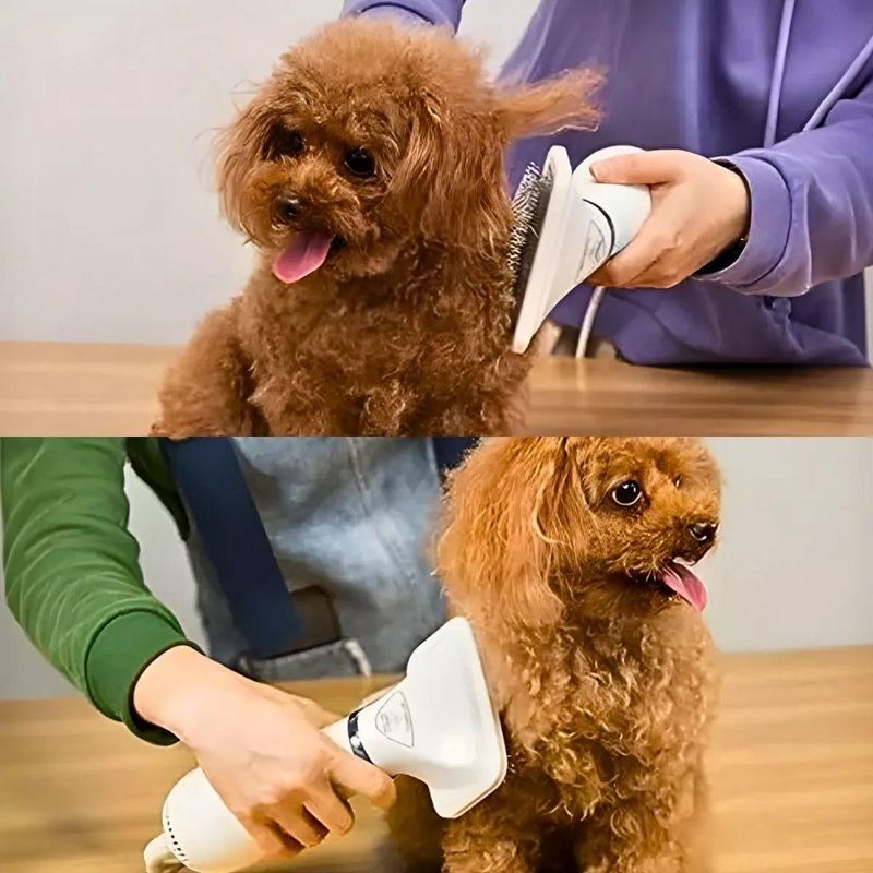 Secador Elétrico com Escova para Pets Utimix 2 em 1 Removedor de Pelos para Cães e Gatos 300W 110V